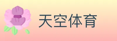 天空体育 logo